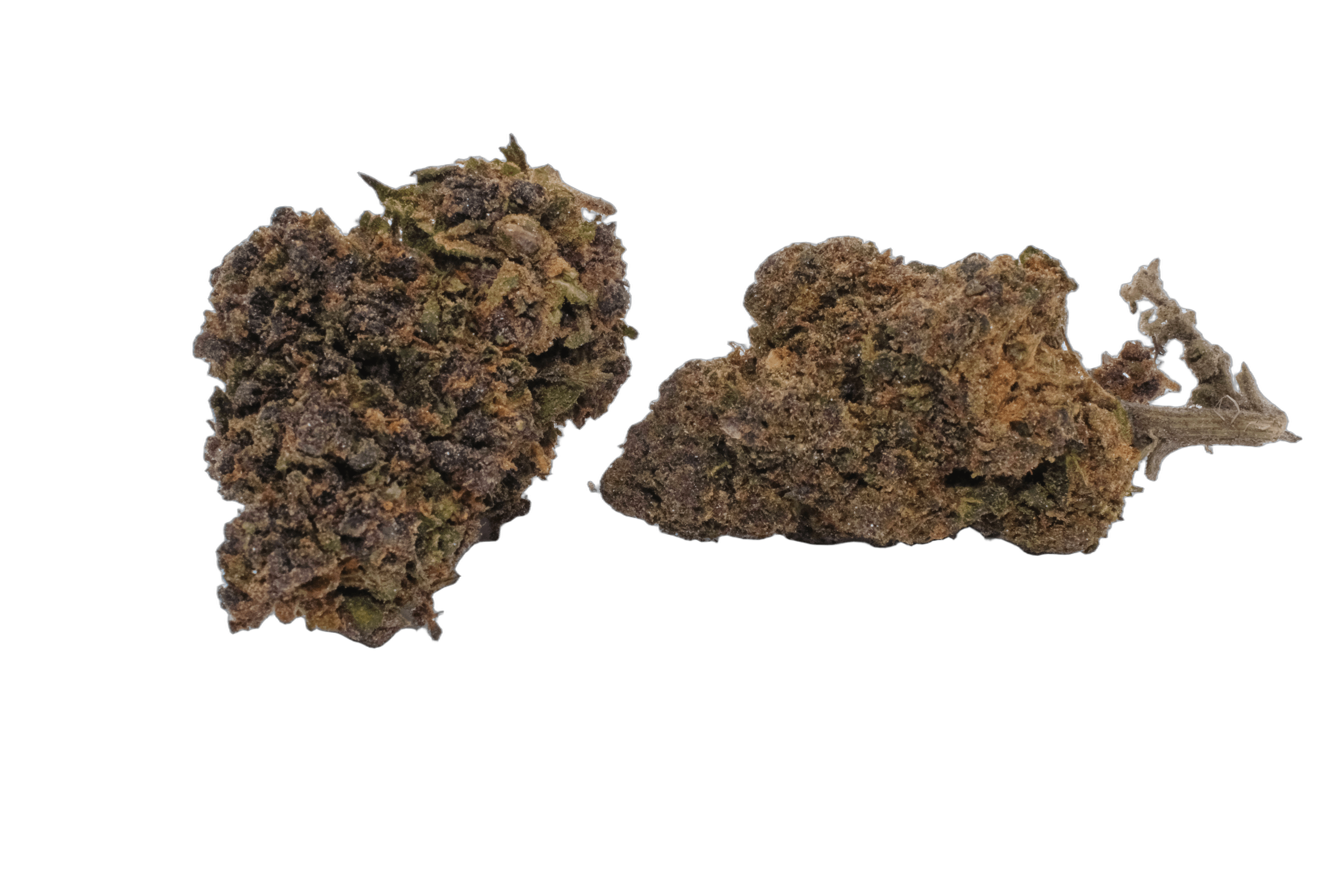 FLEUR VRAC - PURPLE DEEP - MOLECULES