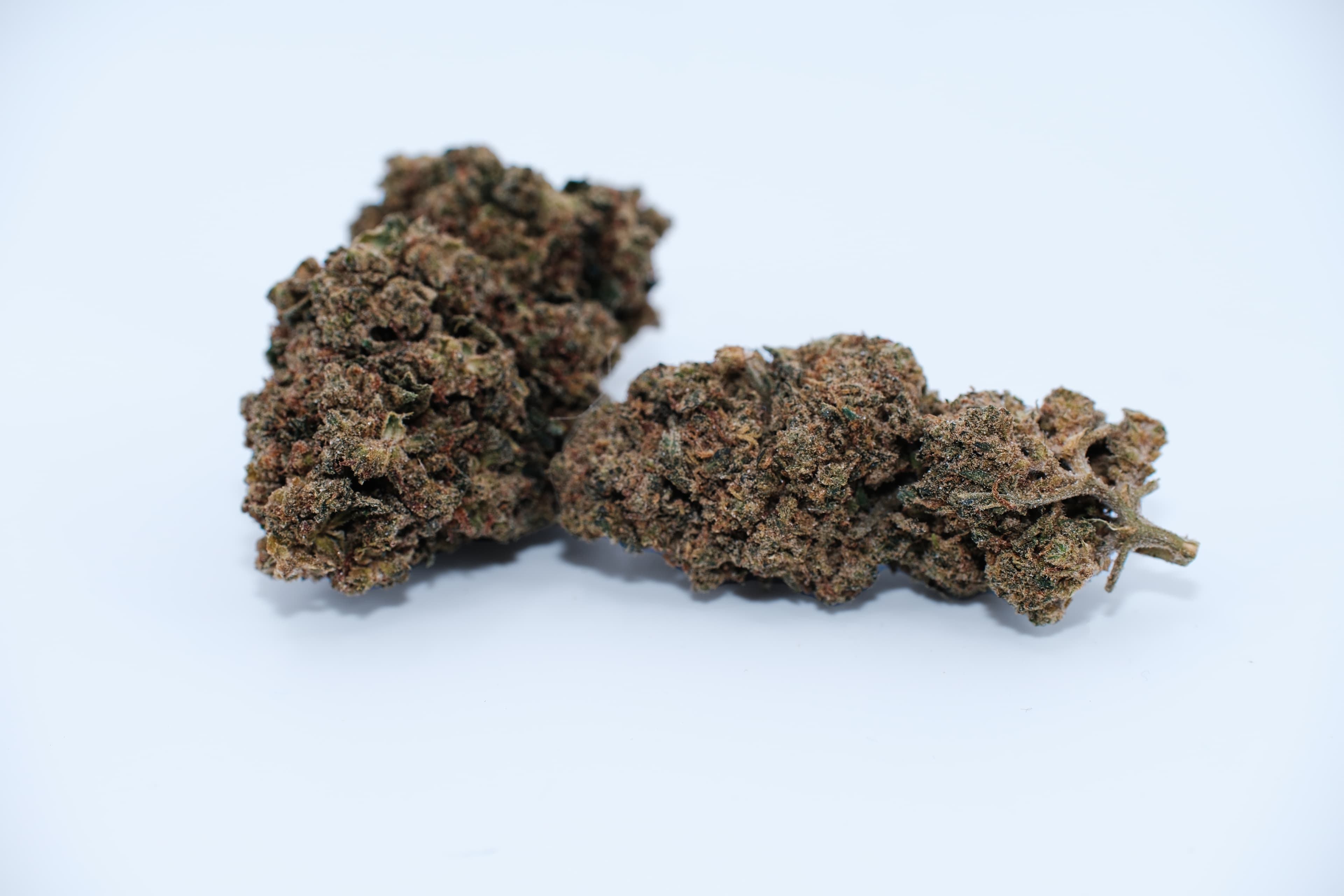 FLEUR VRAC - OG MINT - MOLECULES