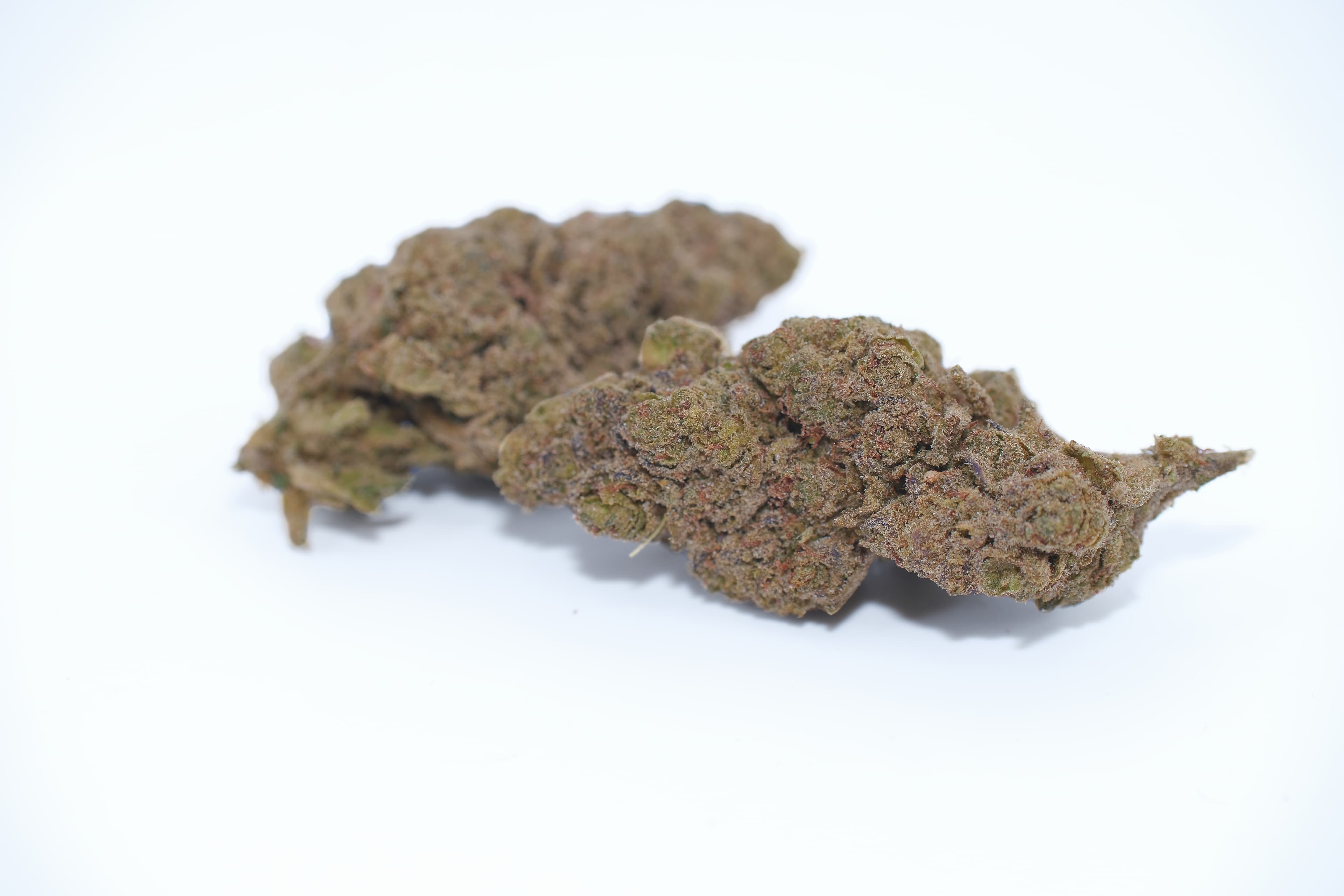 FLEUR VRAC - ORANGE KUSH - MOLECULES